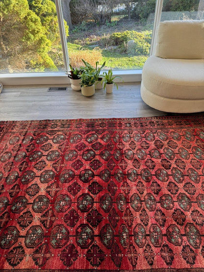 Persian Baluch Rug | 5' 7" x 8'