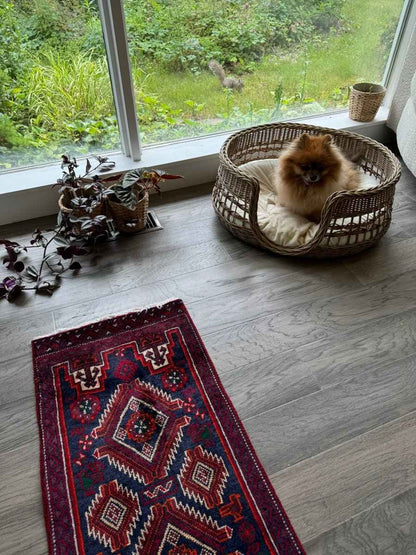 Persian Baluch Runner |  1' 5" x 6' 9"