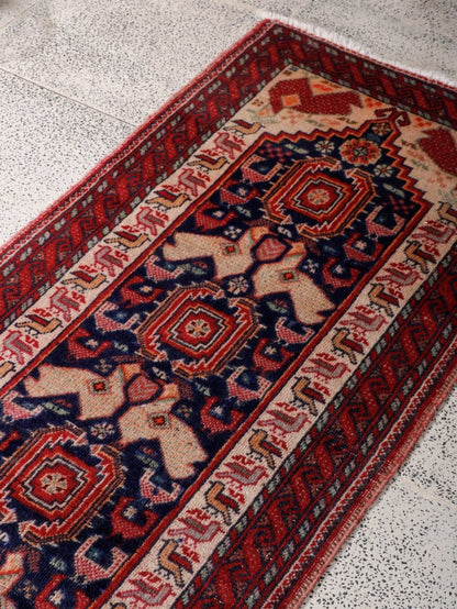 Persian Baluch Runner Rug | 2' 3” x 6' 8"