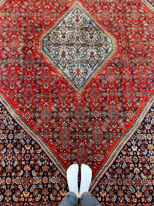 Persian Bidjar Rug | 10' 1" x 6' 11"