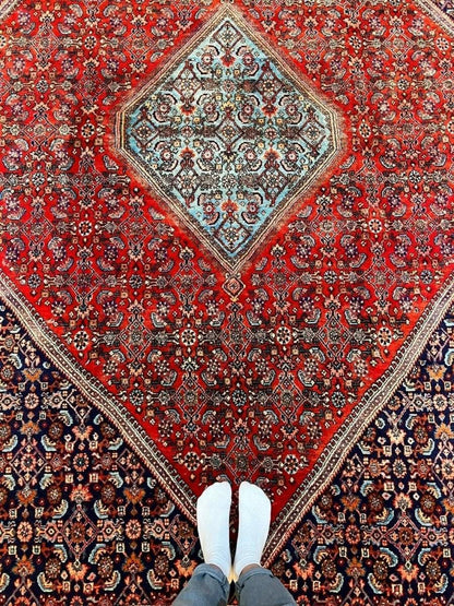 Persian Bidjar Rug | 10' 1" x 6' 11"