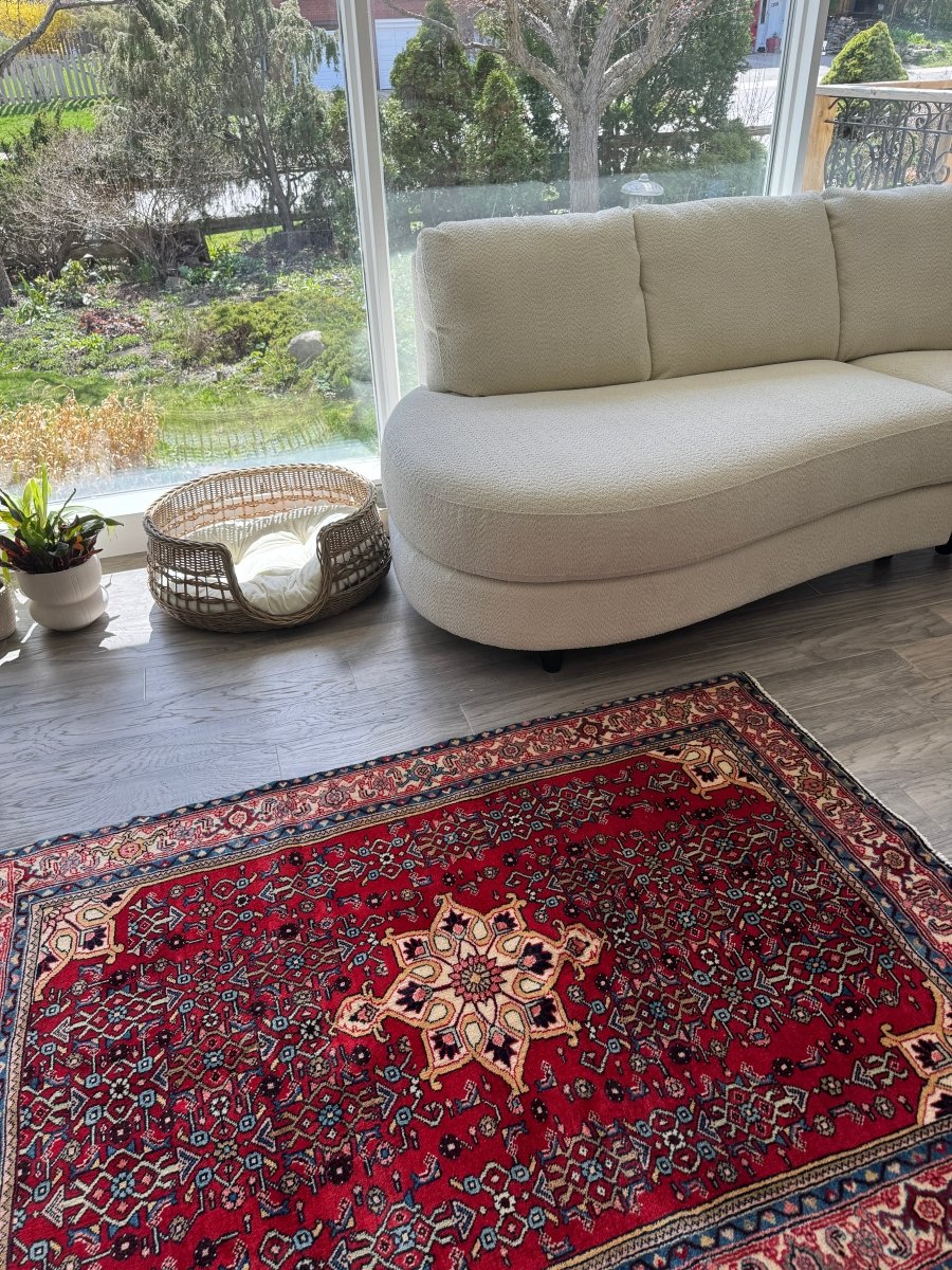 Persian Bidjar Rug | 3' 8" x 5' 4"