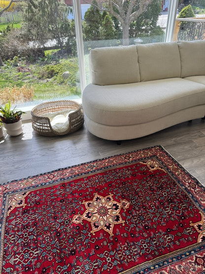 Persian Bidjar Rug | 3' 8" x 5' 4"