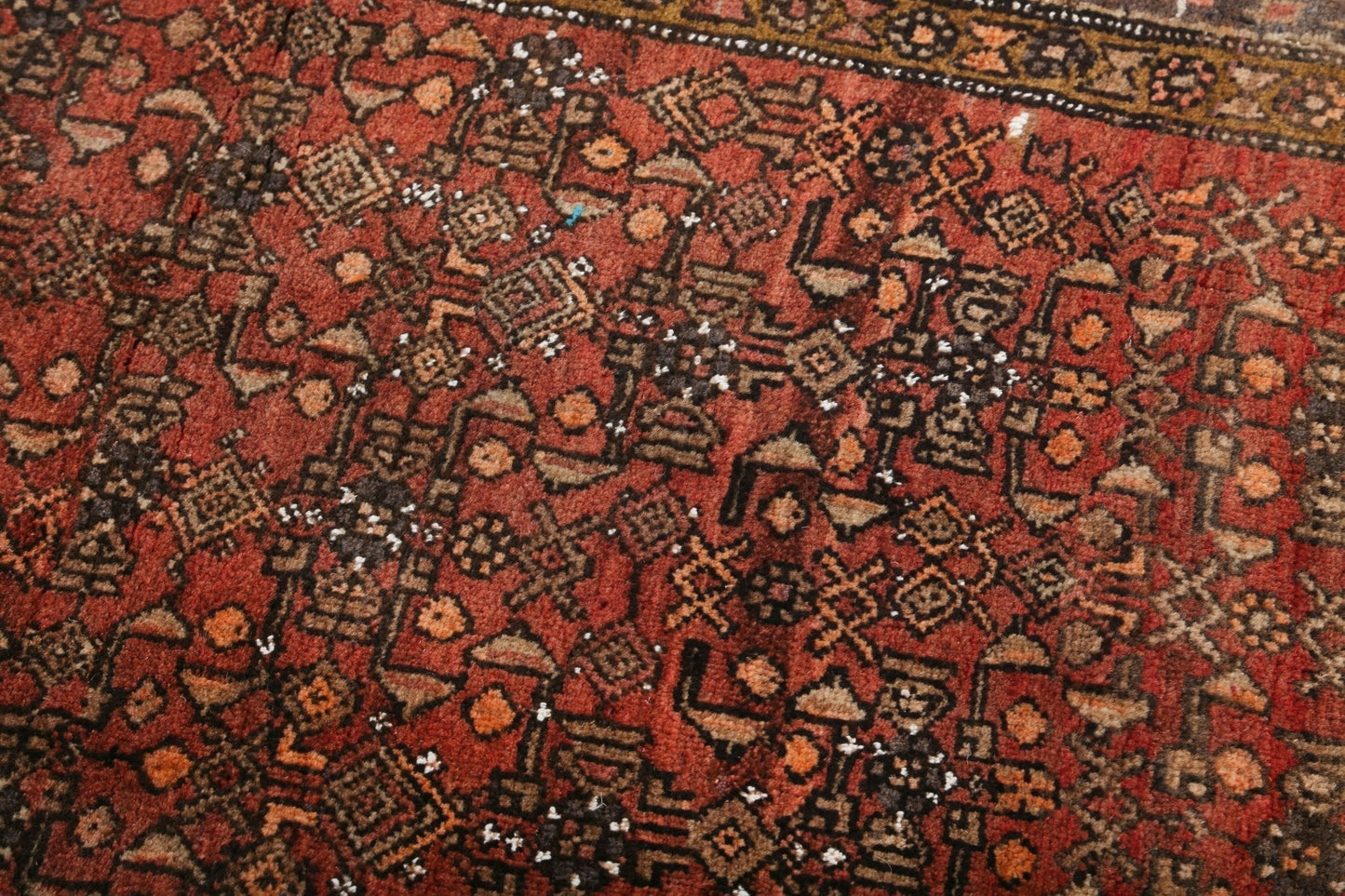 Persian Bidjar Rug | 4' 2" x 5' 9"