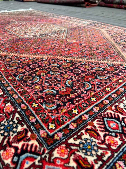 Persian Bidjar Rug | 6' 1" x 3' 7"