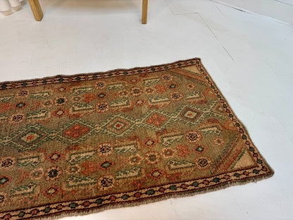 Persian Borujerd Runner Rug | 1' 10” x 6' 5"