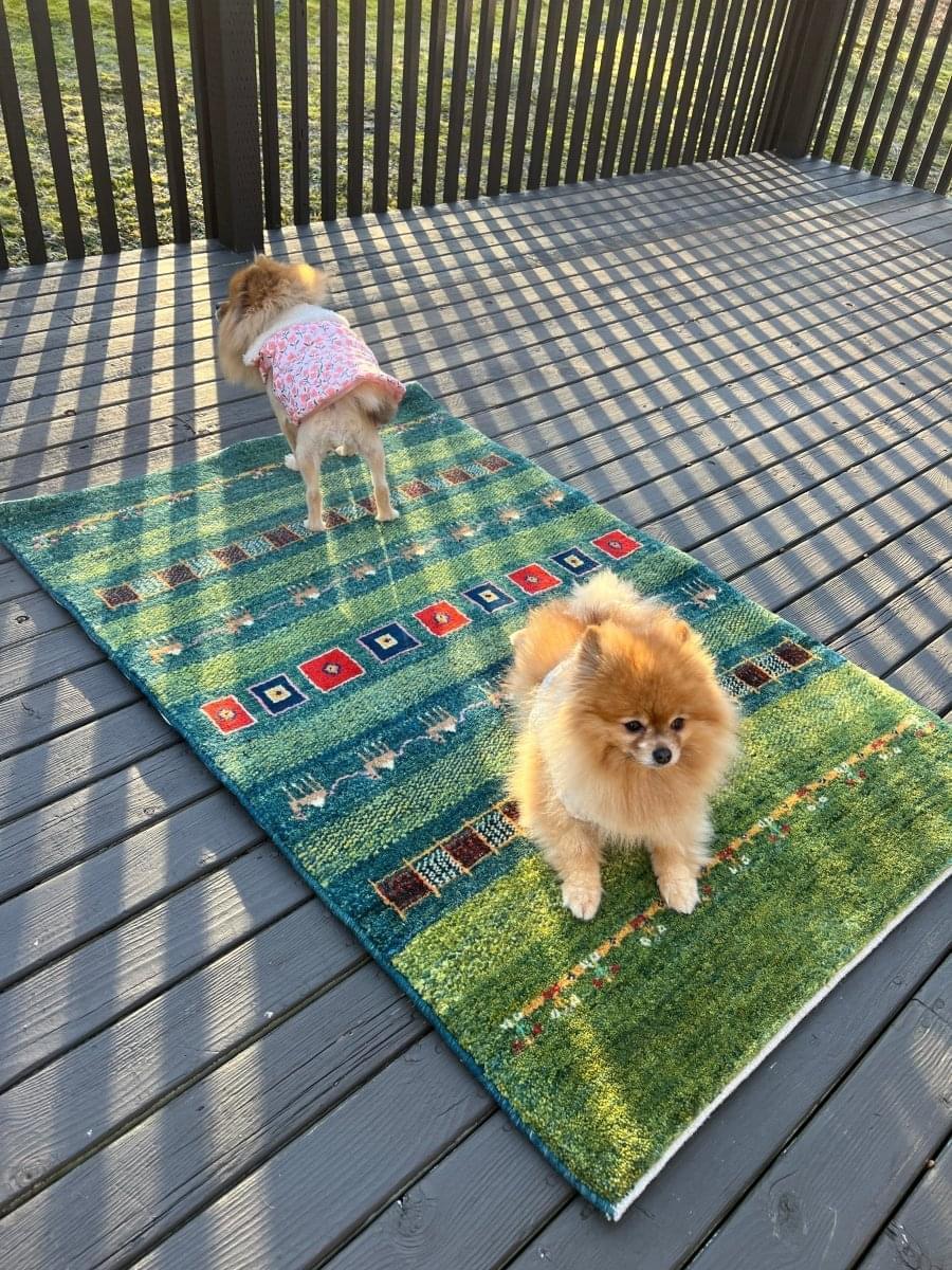 Persian Gabbeh Rug | 4' 1" x 2' 8"