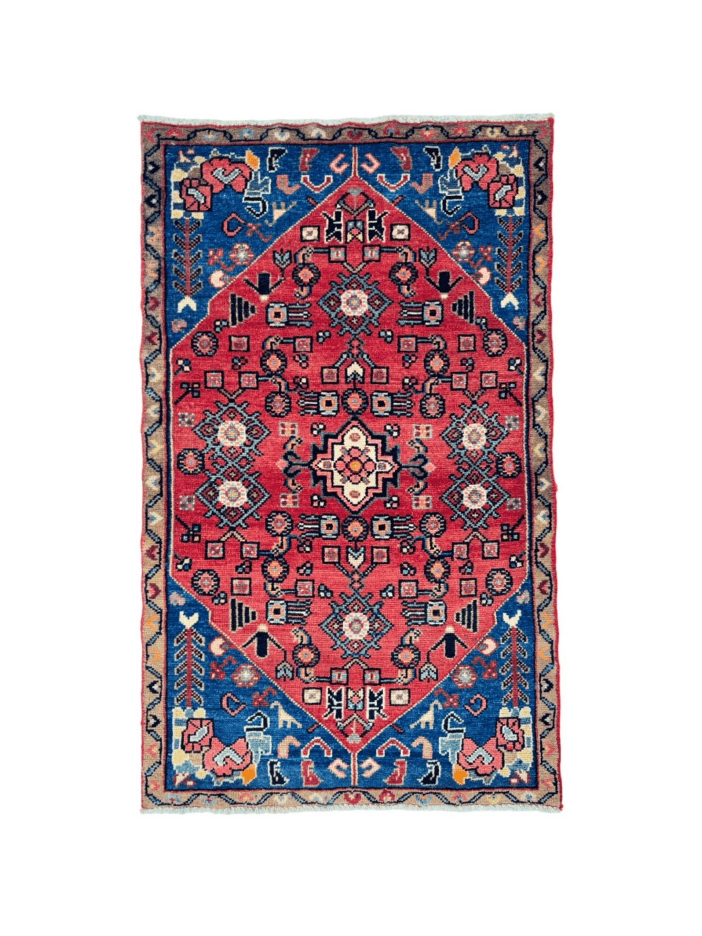 Persian Hamadan Rug | 2' 5” x 4'