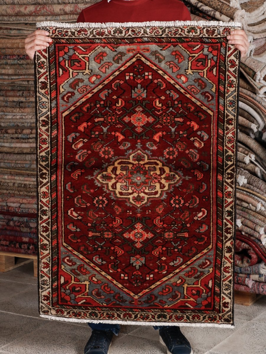 Persian Hamadan Rug | 2' 7” x 3' 10"