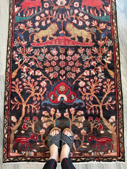Persian Hamadan Runner Rug | 3' 1" x 9' 5"