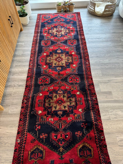 Persian Hamadan Runner Rug | 3' 3" x 9' 10"