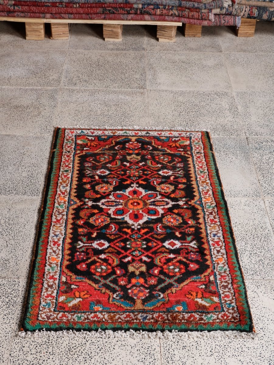 Persian Hamedan Rug | 2' 2” x 3' 5"