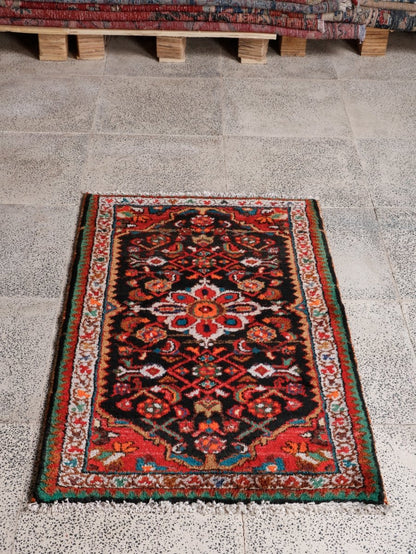 Persian Hamedan Rug | 2' 2” x 3' 5"