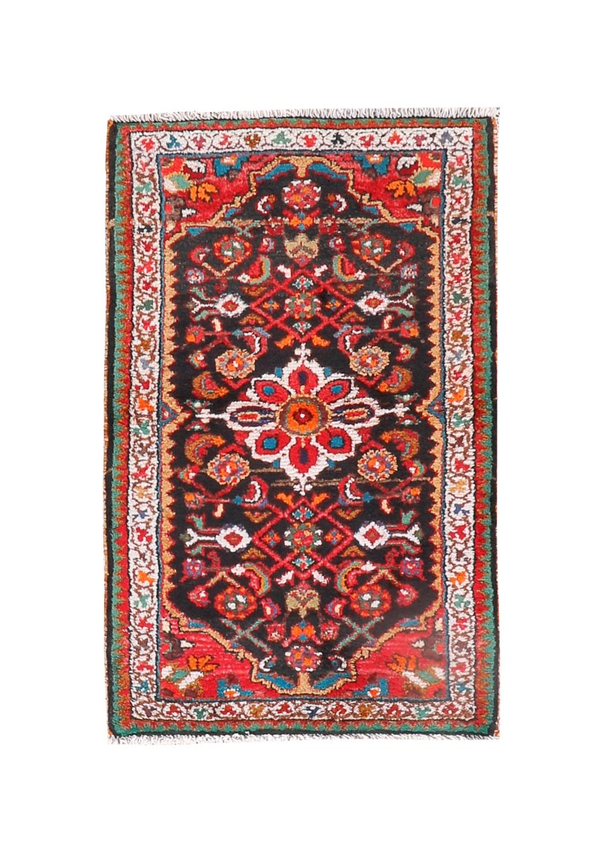 Persian Hamedan Rug | 2' 2” x 3' 5"