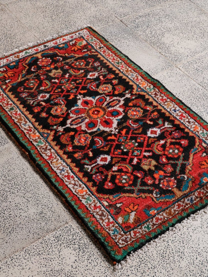 Persian Hamedan Rug | 2' 2” x 3' 5"