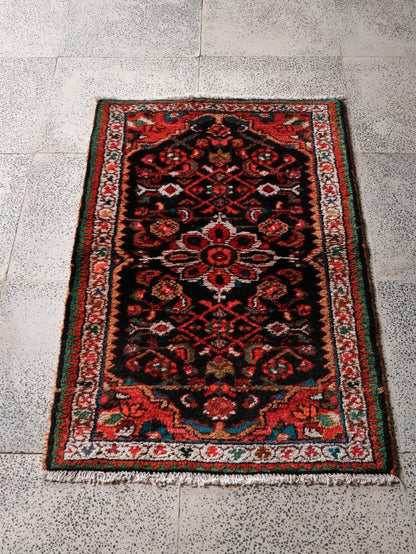 Persian Hamedan Rug | 2' 2” x 3' 5"
