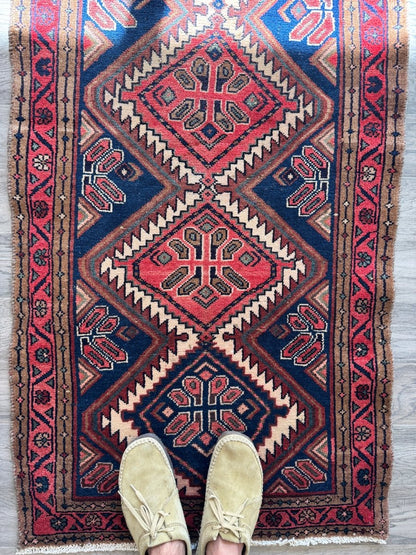 Persian Hamedan Rug | 2' 7" x 5' 1"