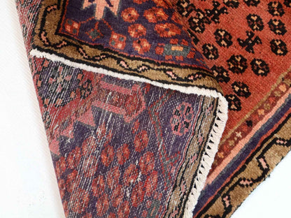 Persian Hamedan Rug | 2' 9” x 6'