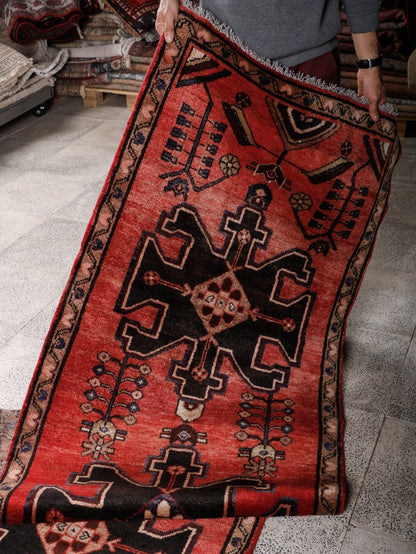 Persian Hamedan Runner Rug | 2' 9” x 9' 1"