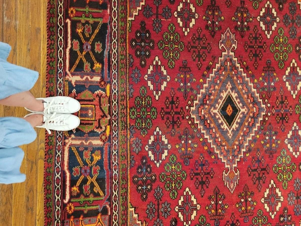 Persian Joshaqan Rug | 10’ 4” x 7’ 1”