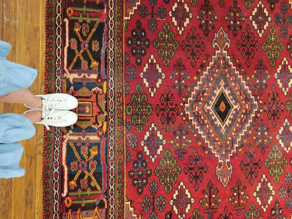 Persian Joshaqan Rug | 10’ 4” x 7’ 1”