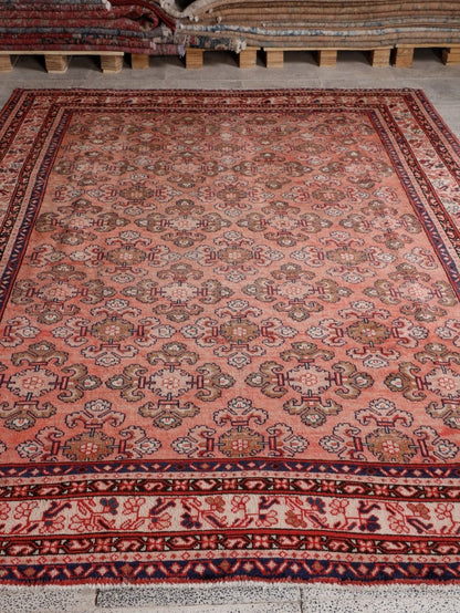 On hold | Persian Mahal Rug | 6' 9” x 9' 10"