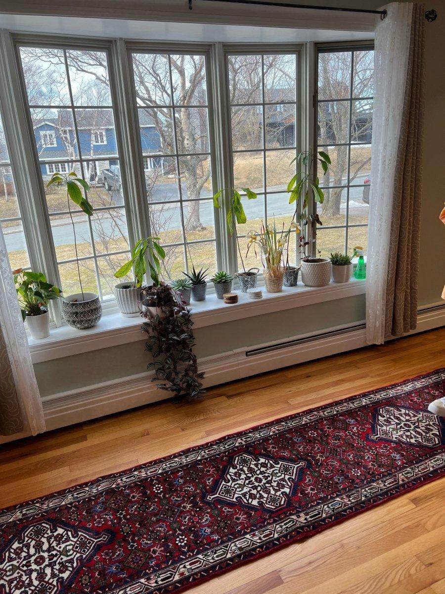 Persian Meshkin Runner | 10' 9" x 3' 2"