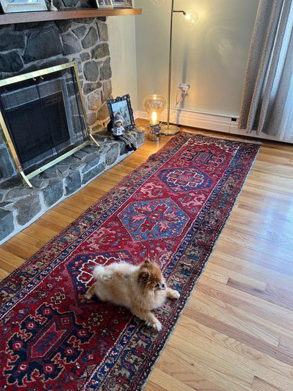 Persian Meshkin Runner | 10' 9" x 3' 2"