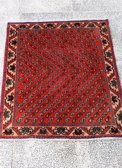 Persian Mir Arak Rug | 2' 5” x 2' 10"