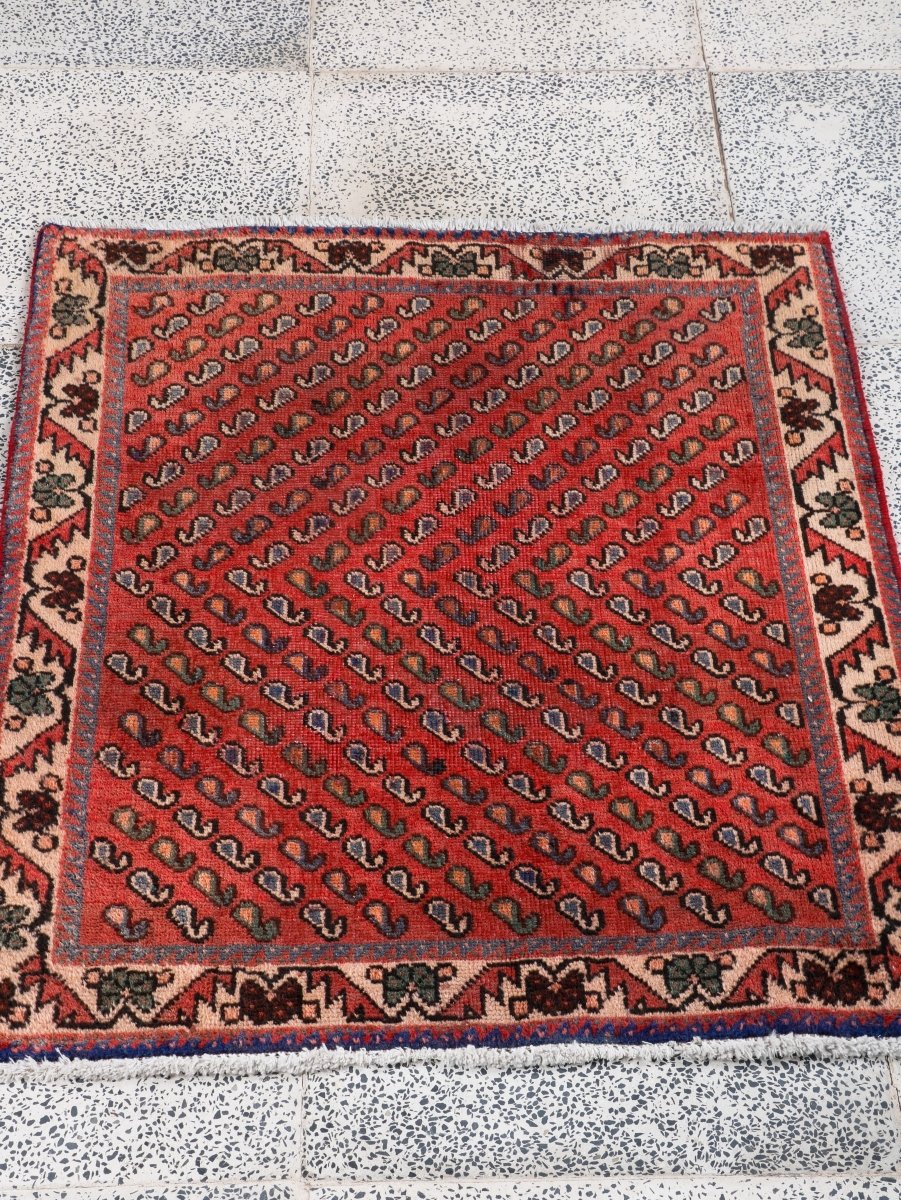 Persian Mir Arak Rug | 2' 5” x 2' 10"