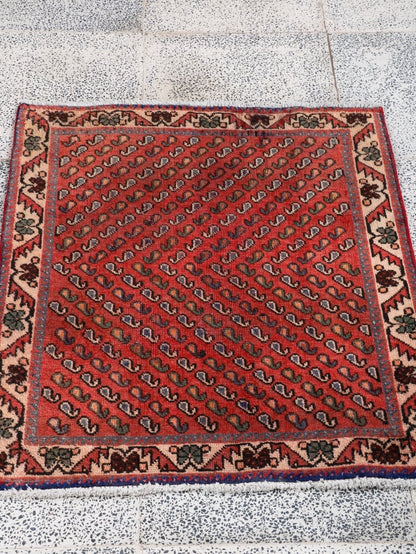 Persian Mir Arak Rug | 2' 5” x 2' 10"