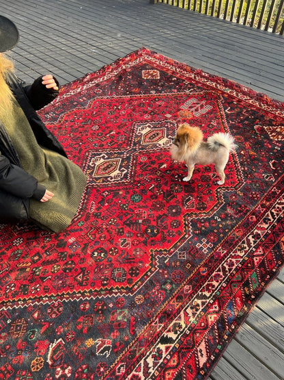Persian Shiraz Rug | 10' 1" x 7' 6"