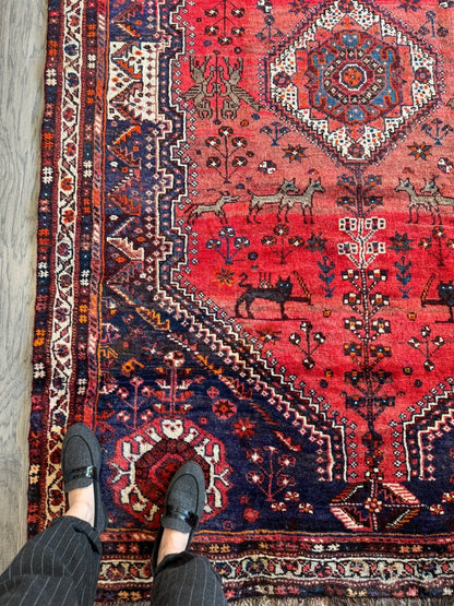Persian Shiraz Rug | 5' 5" x 8' 2"