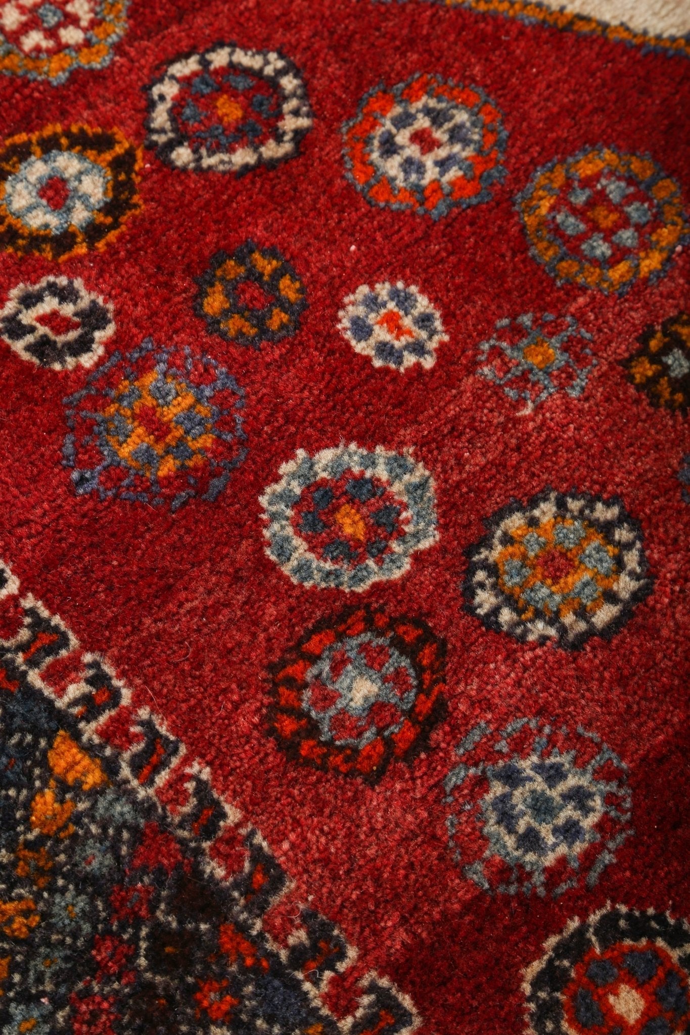 Persian Shiraz Rug | 5' 8" x 6' 10"