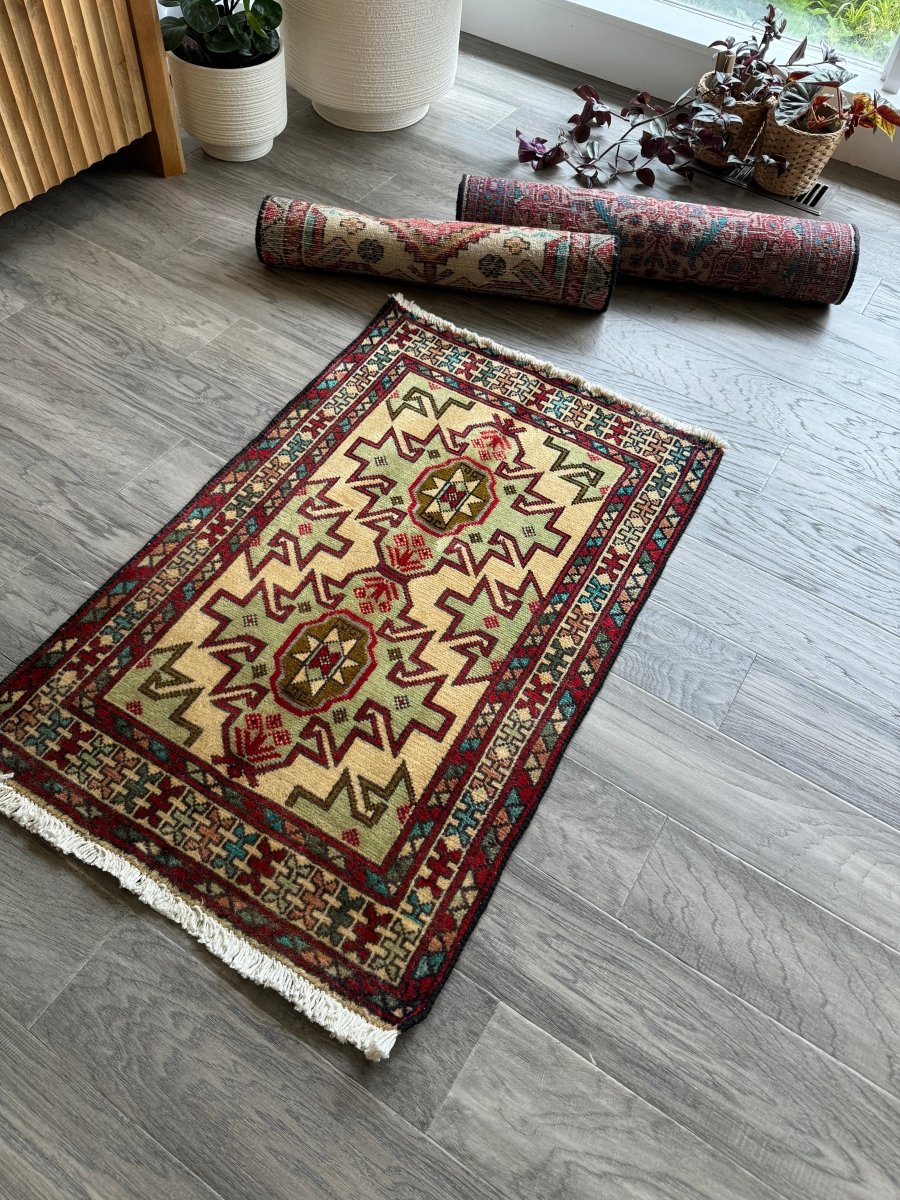 Persian Turkomana Rug | 1' 11" x 2' 11"