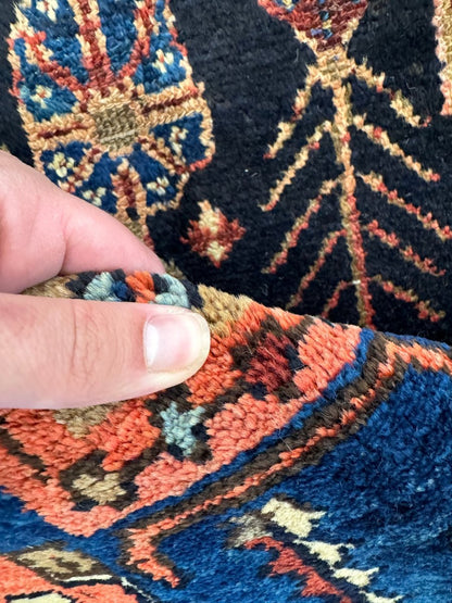 Persian Zanjan Rug | 4' x 6' 5"