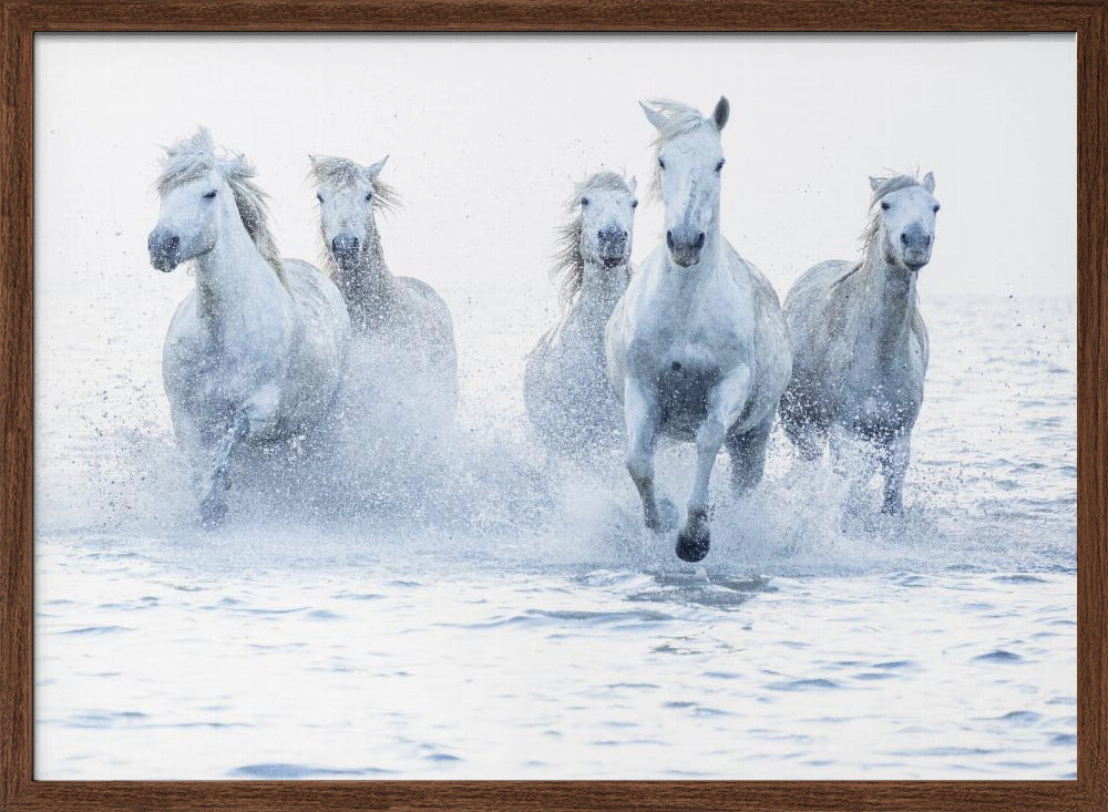 Wall Art Horses on the Run