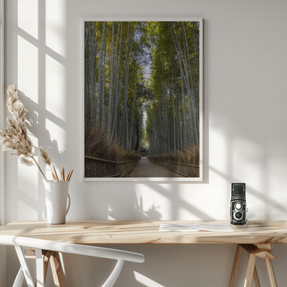 Wall art Mighty Arashiyama bamboo forest
