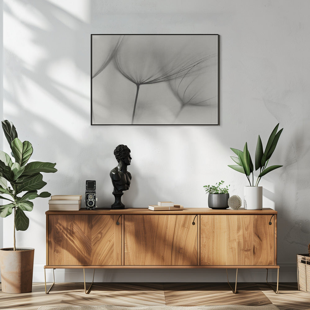 Wall art Tragopogon
