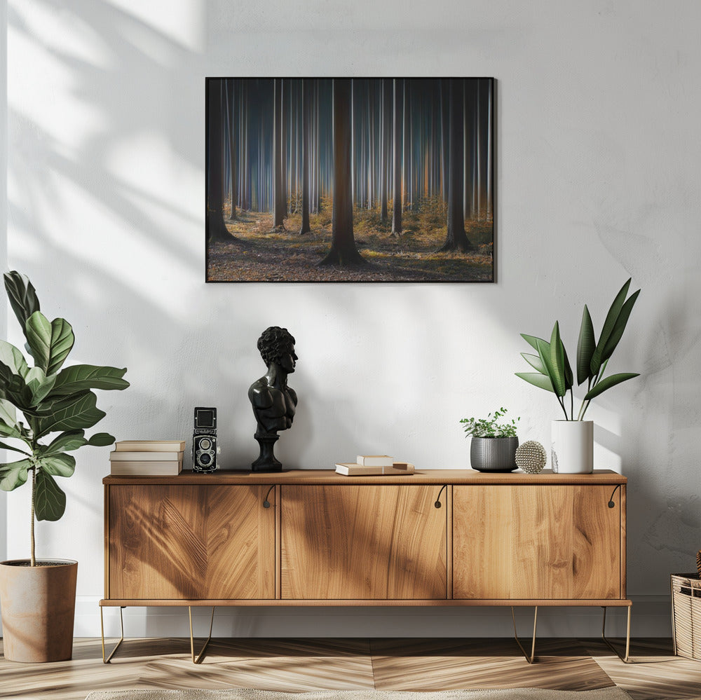 Wall art Mystic Wood