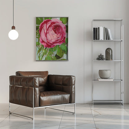 Wall Art Pink Rose, Mrs John Laing Lithograph