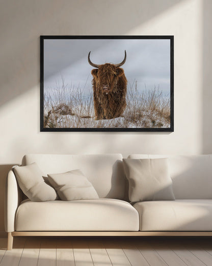 Wall Art Highlander in Snow