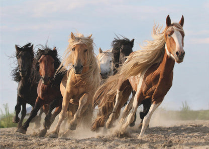 Wall art Lucky Six Horses