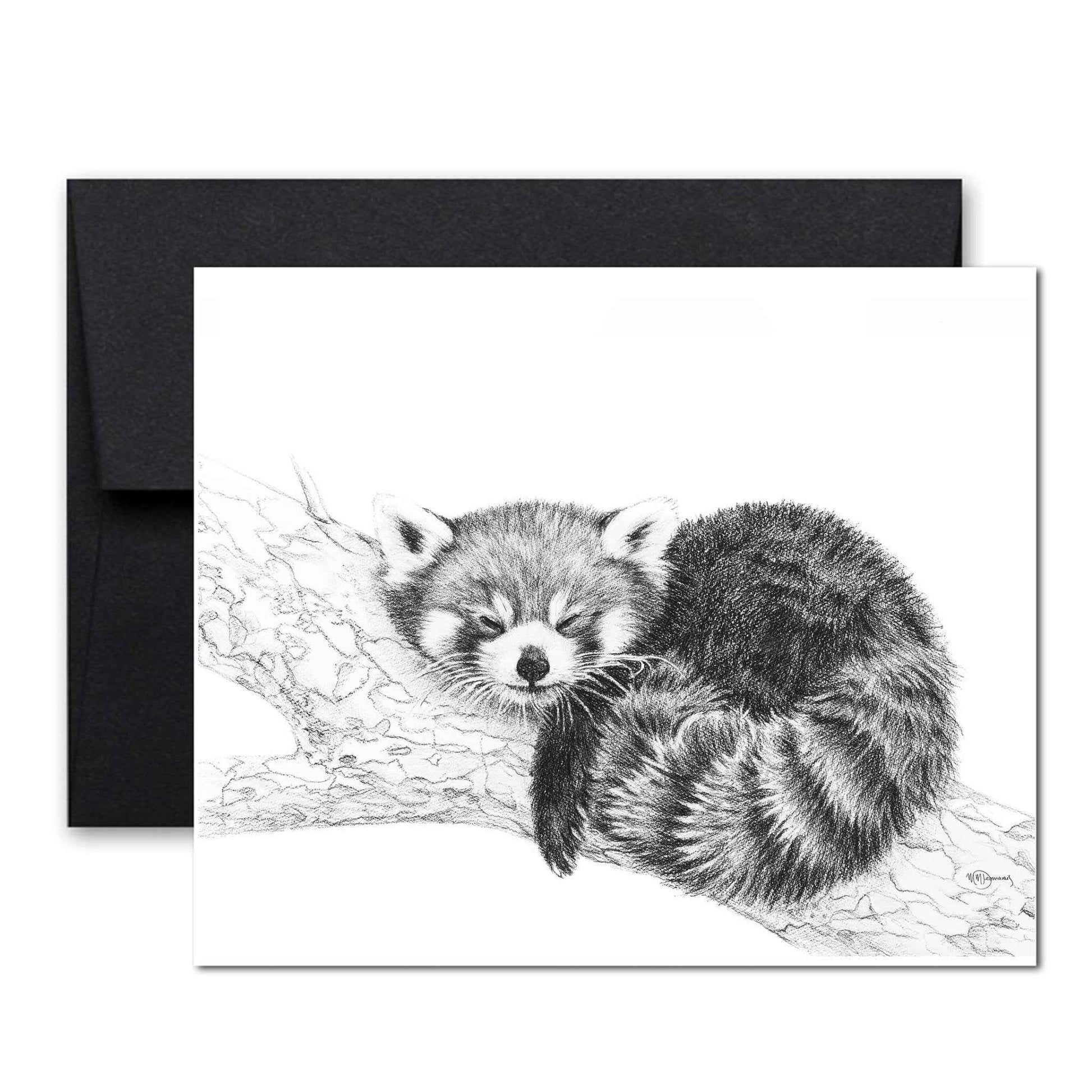 Red Panda greeting card - collaboration with  La Fondation du Zoo de Granby