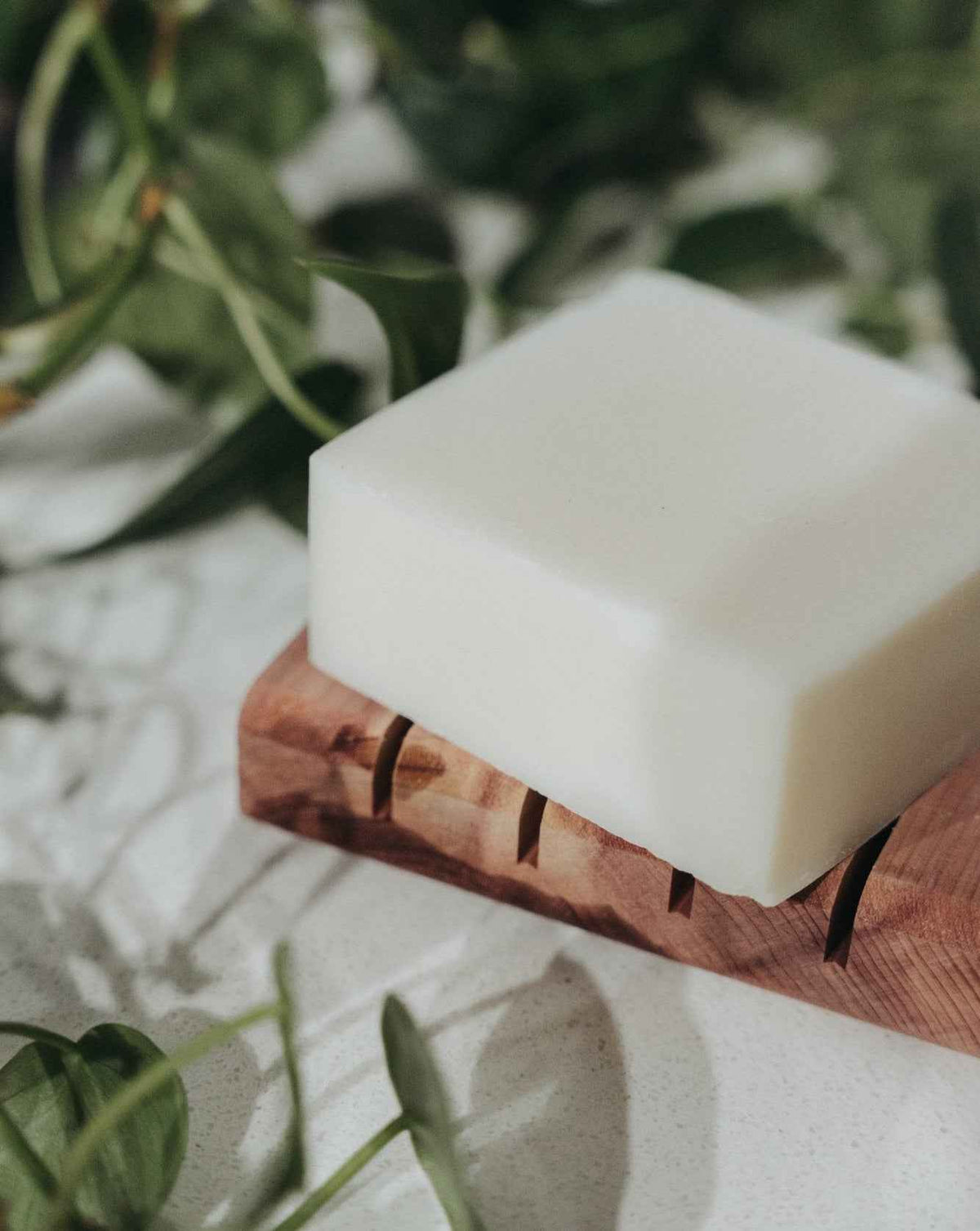Solid Dish Soap Bar | Bergamot + Lime