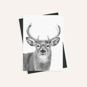 Stag - greeting card