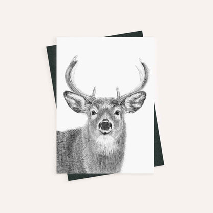 Stag - greeting card
